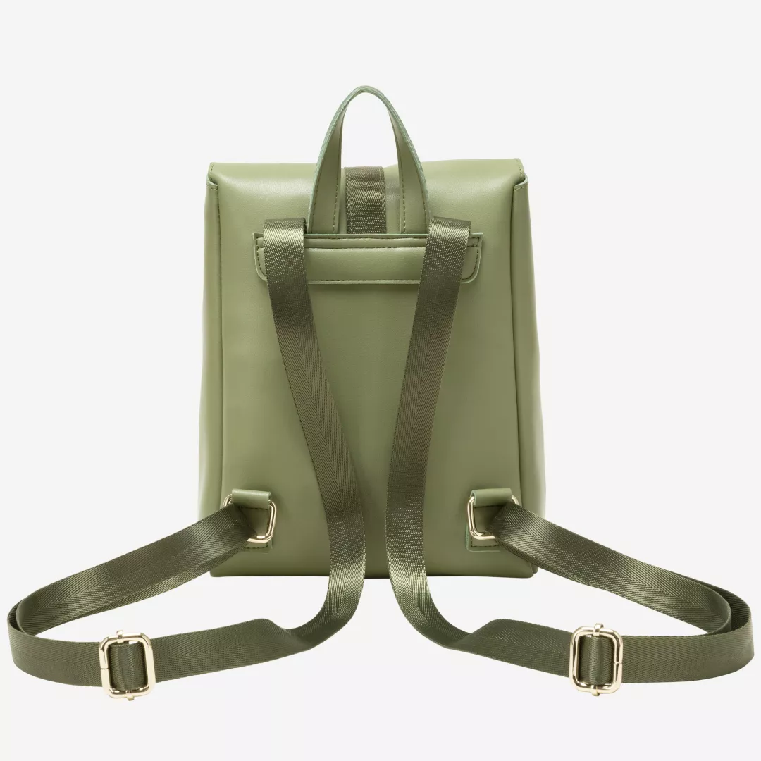 12113-olive-back