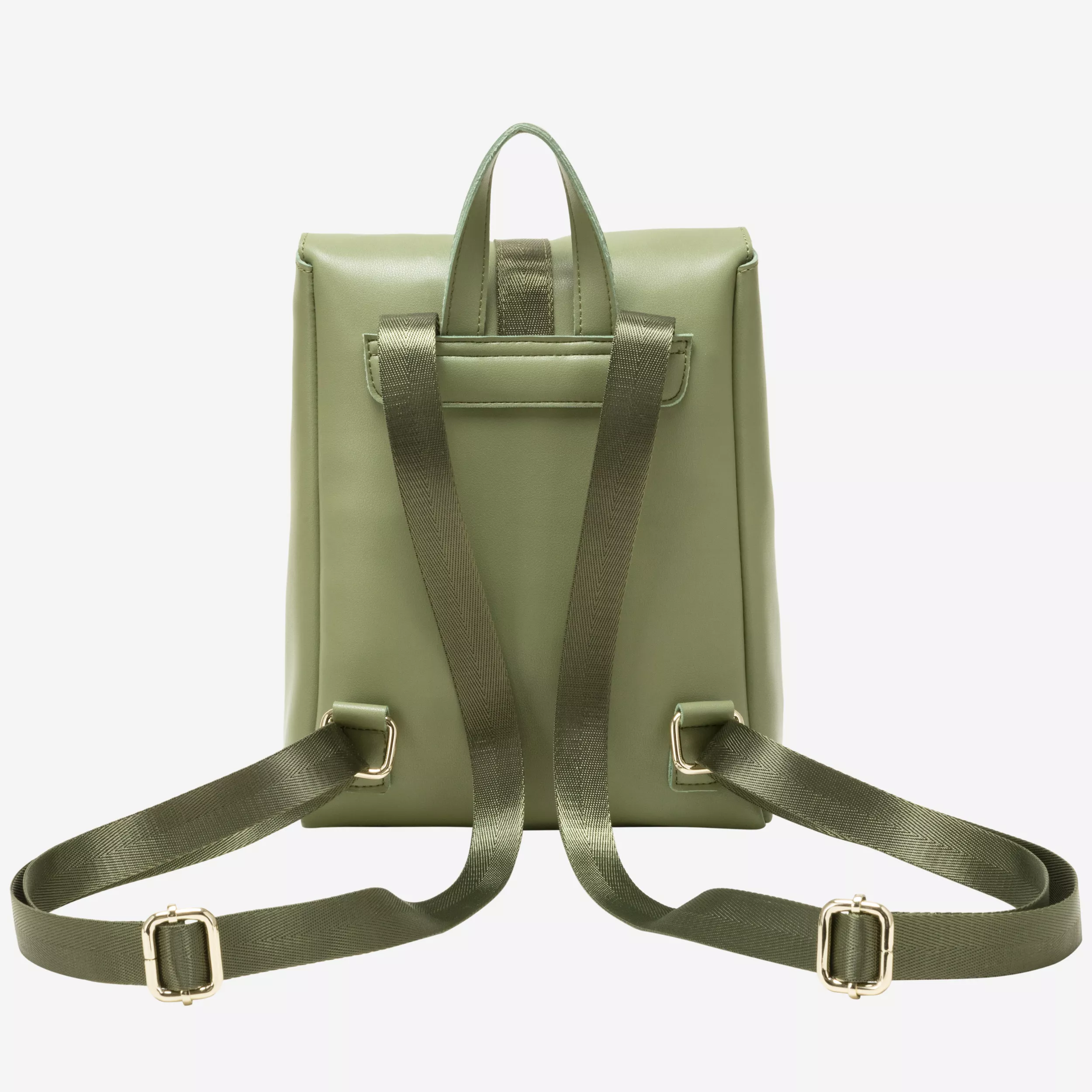 12113-olive-back
